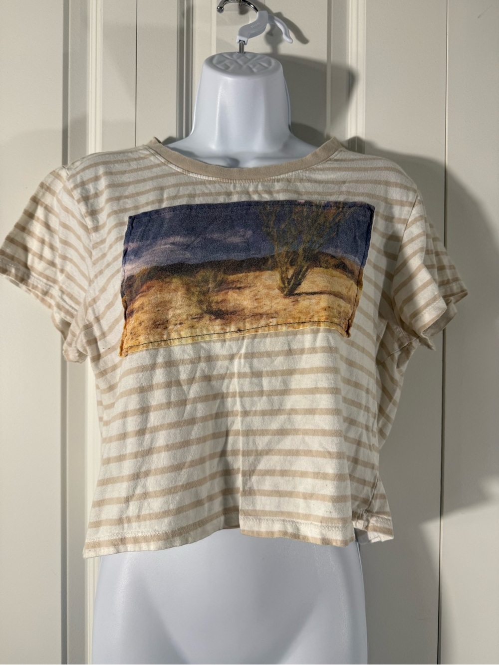 Beige Striped Short Sleeve Tee with Desert Graphic